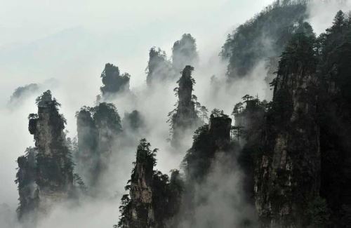  走进张家界大峡谷参访 领路大自然的神秘风采