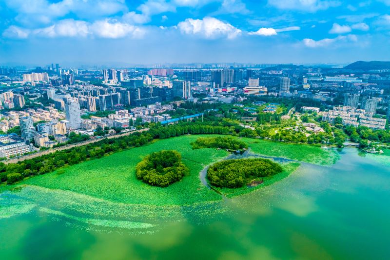 浓浓故乡情—喜看南京玄武湖生态环境建设变化