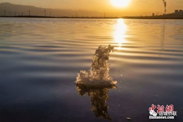 亲情中华黄河故事｜“硝花”形态各异 为冬日增添别样景色