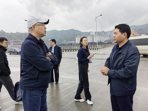 重庆采风：海外华文媒体重庆采风行走进万州新田港采访