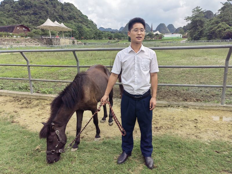 海外华文媒体广西行见闻之七：参访德保县燕峒乡文创旅游小镇——矮马王国