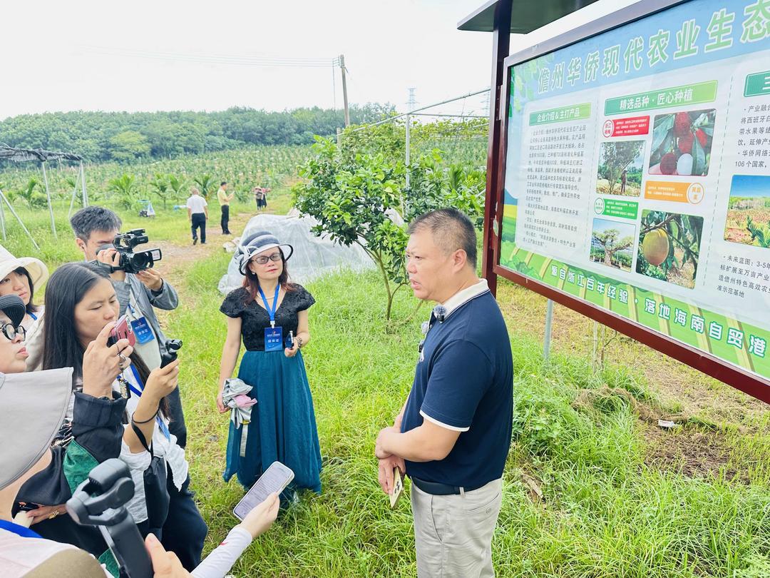 海南侨联新闻：红土地上的热带果园让来宾刮目相看