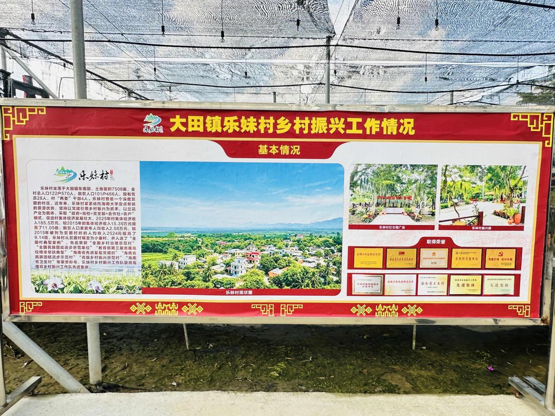 海南侨联新闻：乐妹村—深度贫困村庄的蜕变